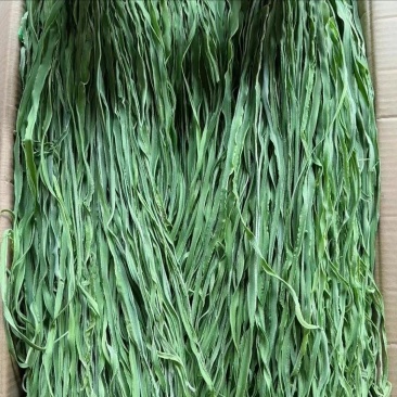 贡菜批发源产地批发笋干批发云南贡菜批发