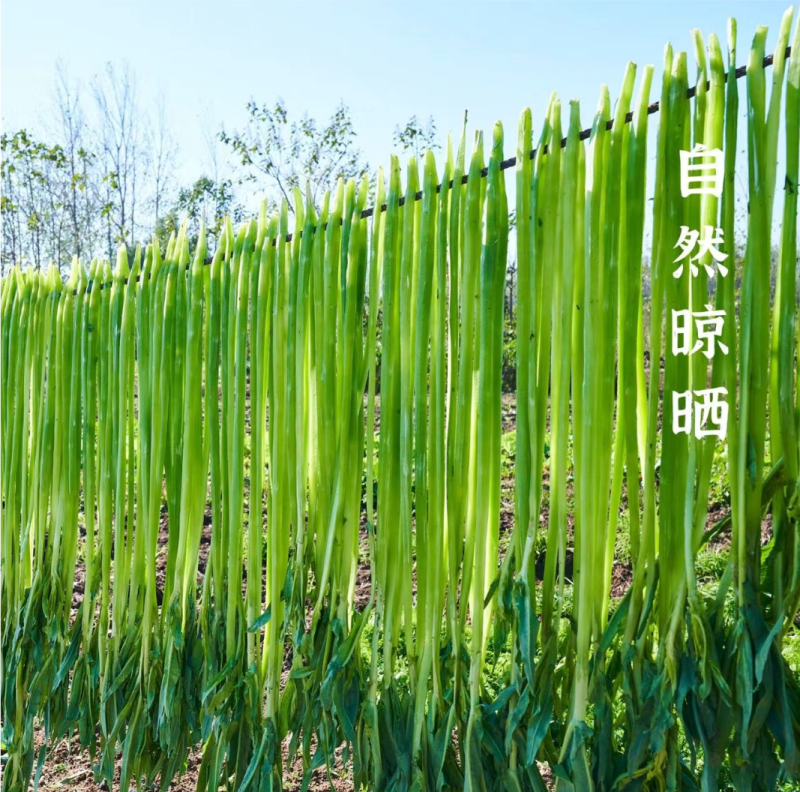 贡菜批发源产地批发笋干批发云南贡菜批发