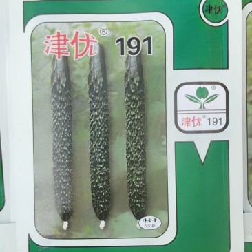 黄瓜种子津优191强雌油亮顺直绿肉脆甜高产抗病