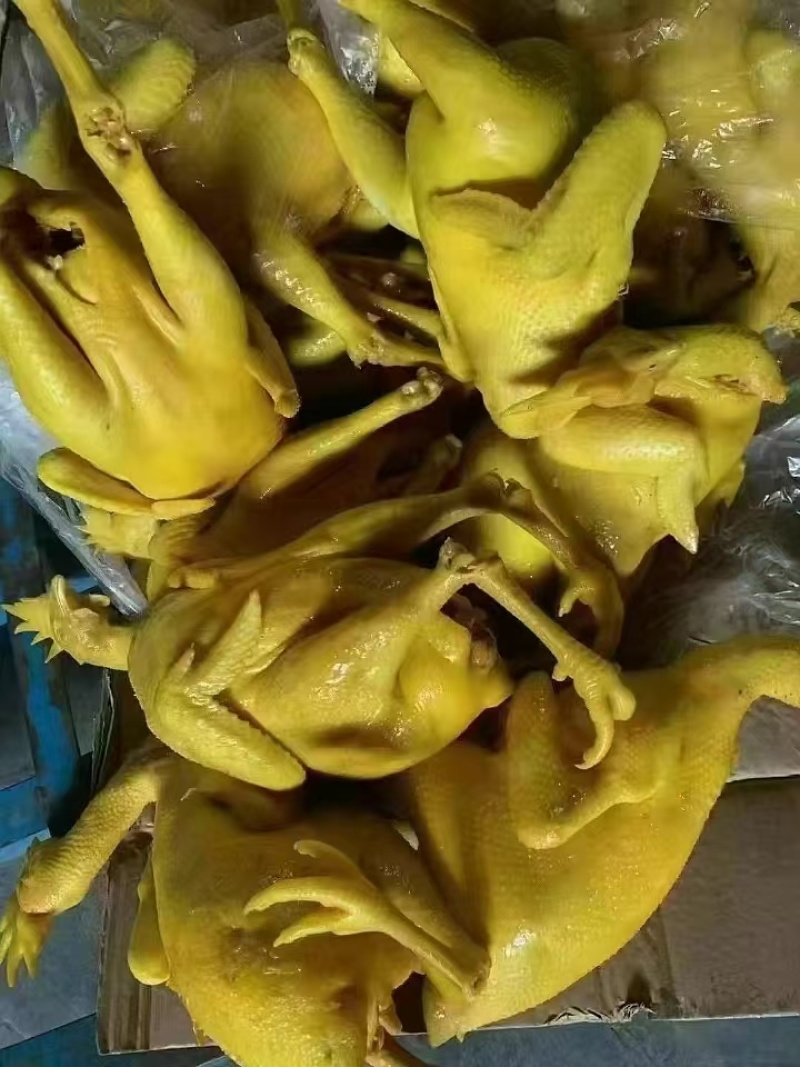 盐焗鸡，盐焗鸡腿，一件50斤，全熟和半成品都有货