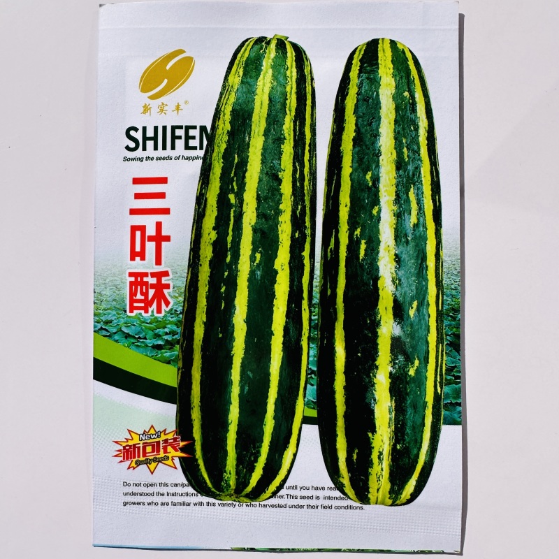 三叶酥酥瓜种子一窝蜂梢瓜种花皮酥瓜种子杂交菜瓜花酥瓜种子