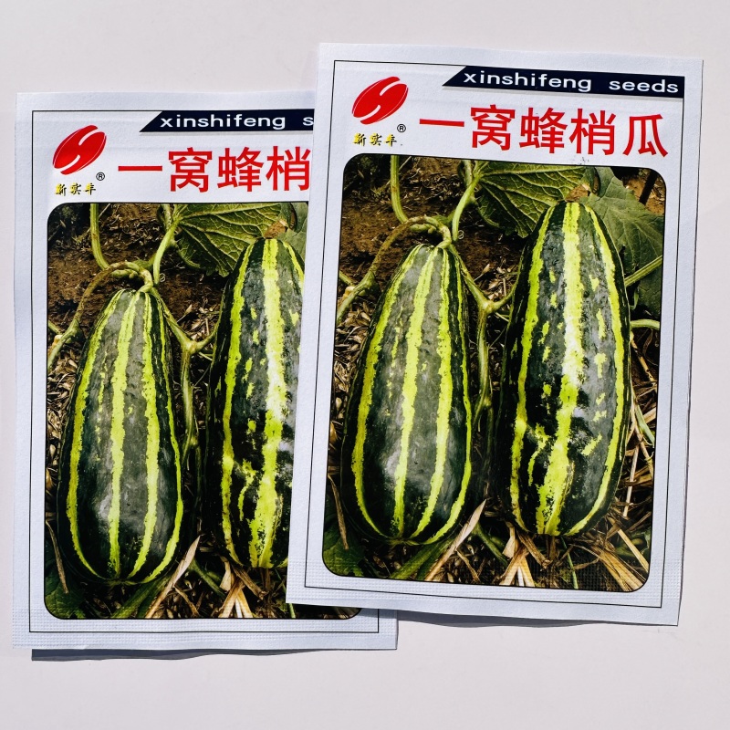 三叶酥酥瓜种子一窝蜂梢瓜种花皮酥瓜种子杂交菜瓜花酥瓜种子