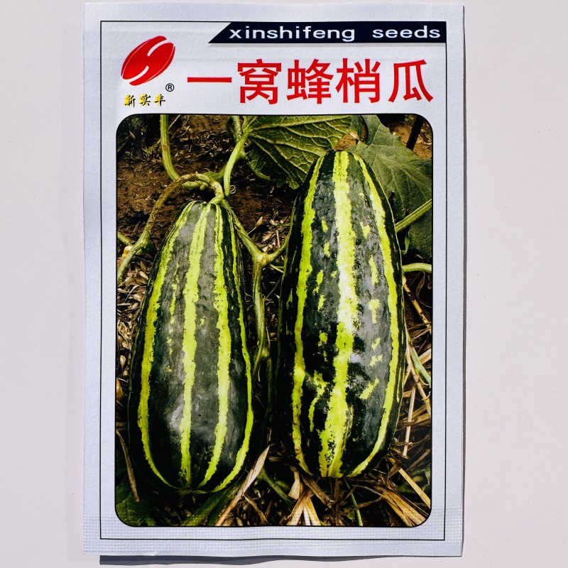 三叶酥酥瓜种子一窝蜂梢瓜种花皮酥瓜种子杂交菜瓜花酥瓜种子