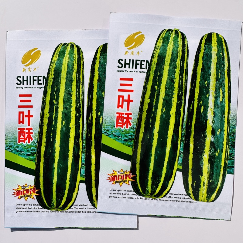 三叶酥酥瓜种子一窝蜂梢瓜种花皮酥瓜种子杂交菜瓜花酥瓜种子