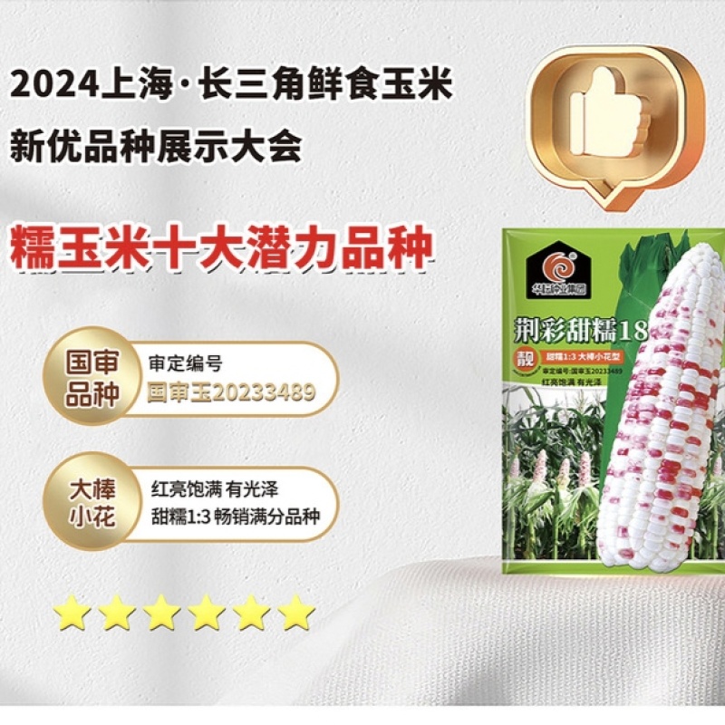 荆彩甜糯18玉米种子甜糯玉米大棒型彩玉米种子软糯香甜春秋