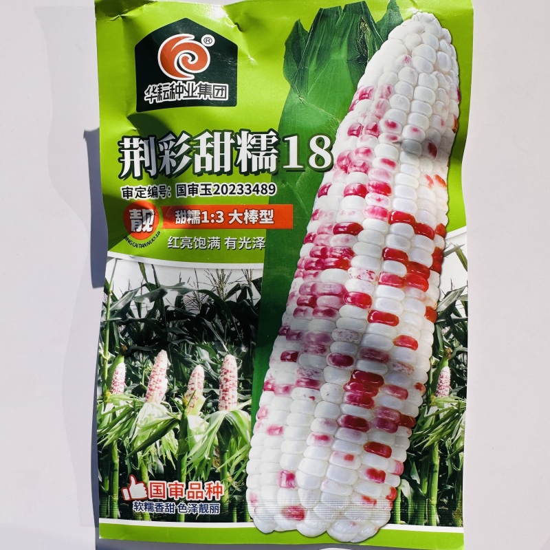 荆彩甜糯18玉米种子甜糯玉米大棒型彩玉米种子软糯香甜春秋