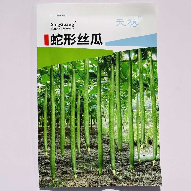 特长丝瓜种子高产中熟超长蛇形丝瓜种子大田可盆栽丝瓜籽耐热