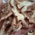 【知母长片】片大饱满产地种植原色无硫正品保障