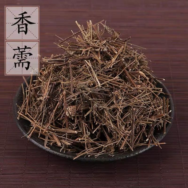 【香薷】香薷物美价廉新货量大从优