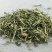 【透骨草】透骨草净货产地直供量大从优物美价廉