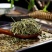 【透骨草】透骨草净货产地直供量大从优物美价廉