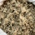 【白芨】白芨片白芨个质量好物美价廉产地直供