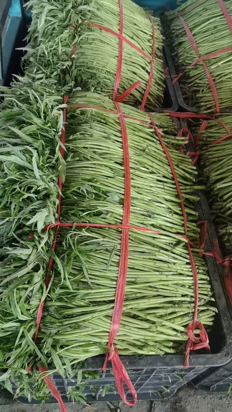 芜湖万亩基地精品芦蒿产地直发，品质保证……