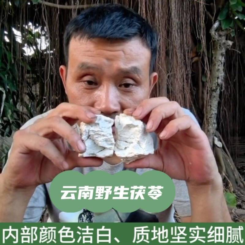 云南孟连野生茯苓云苓丑坨干货无硫无添加正宗中药材