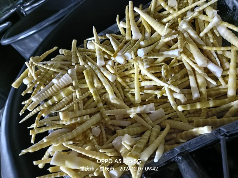 初加工半成品方竹笋