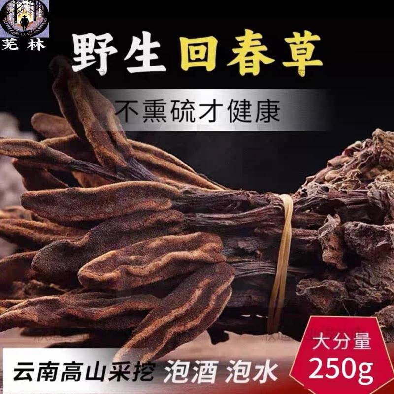 云南野生回春草干货孟连腊福大黑山采摘无硫无添加***