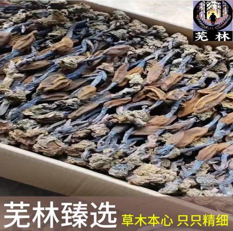 云南野生回春草干货孟连腊福大黑山采摘无硫无添加***