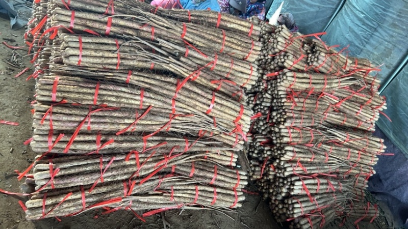 正宗铁棍山药，产地直销，全国发货