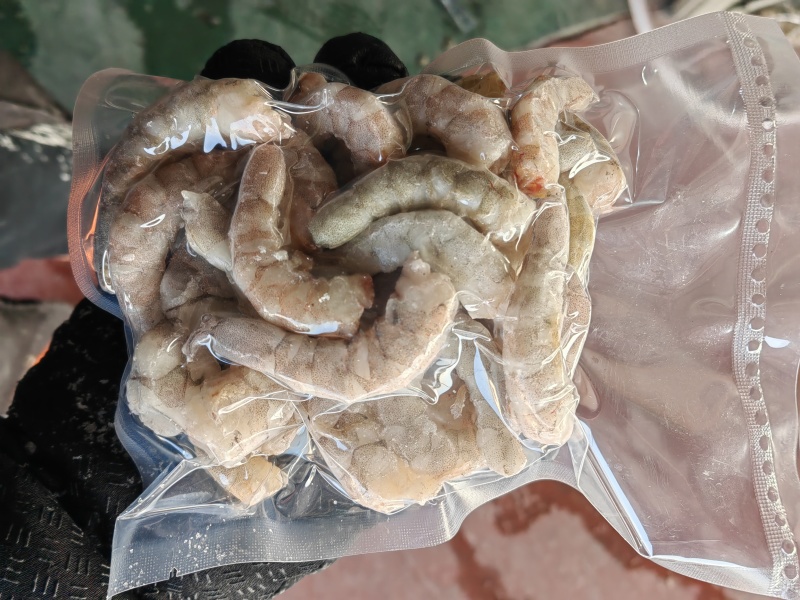 饺子馆用虾仁，鱼食也可以用，便宜处理