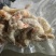 饺子馆用虾仁，鱼食也可以用，便宜处理