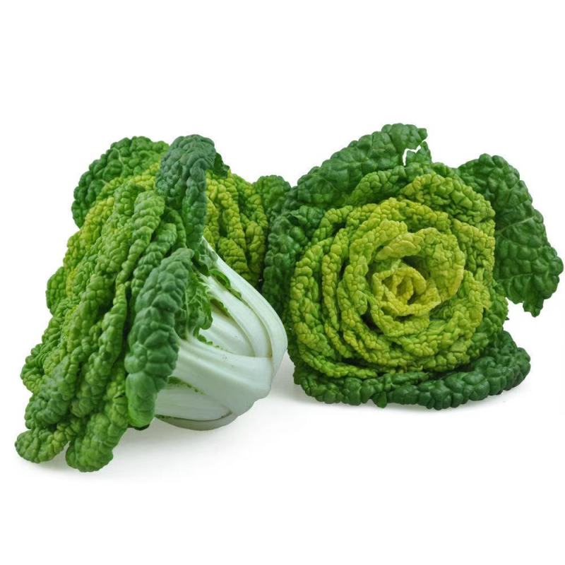 大棚黄心菜上市天然口感好黄心菜量大从优一手货源欢迎您来电