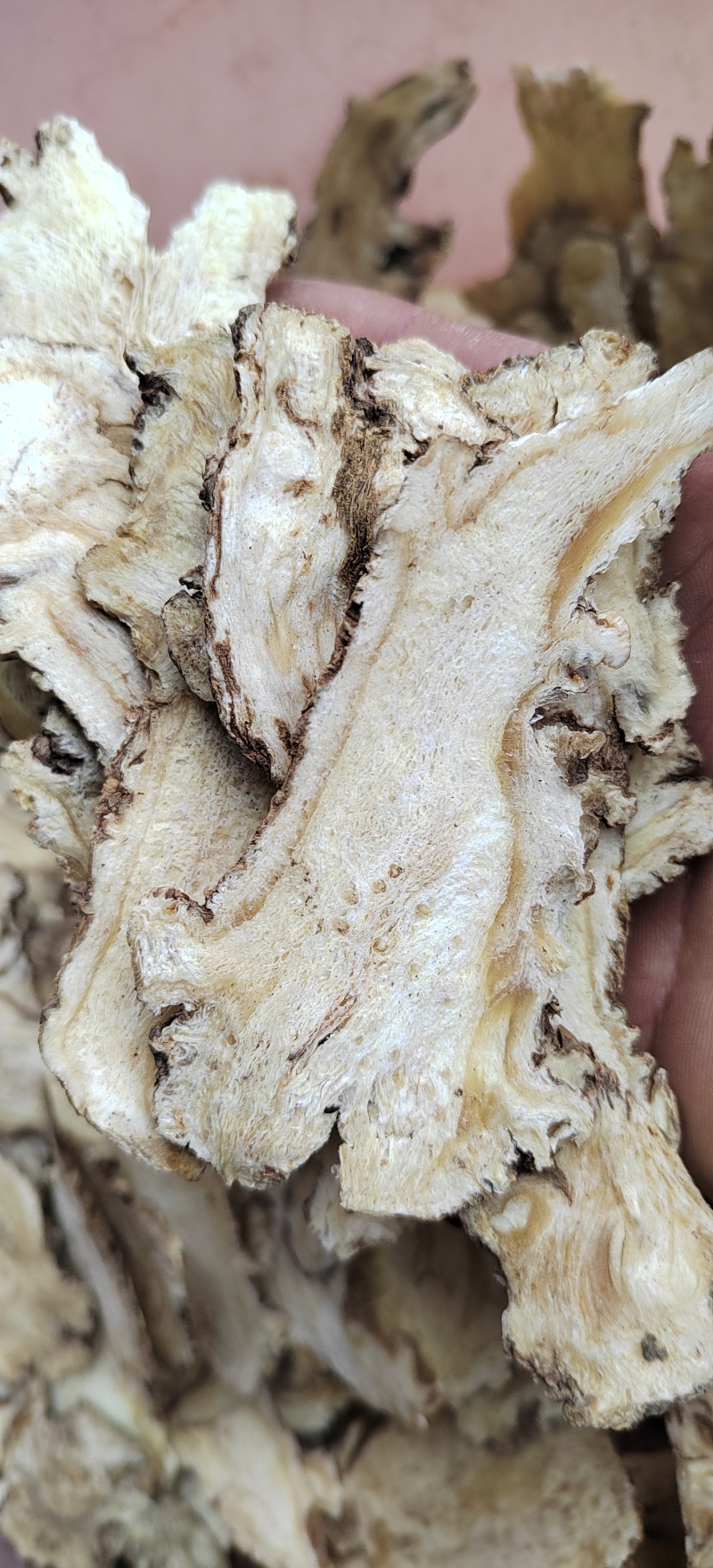 【当归头片无硫特大头片】手选精品活动包邮
