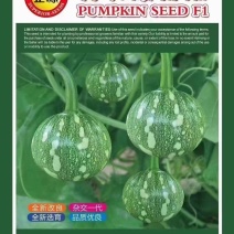 小南瓜种子利农嫩南瓜早熟嫩花白皮嫩气瓜多瓜靓
