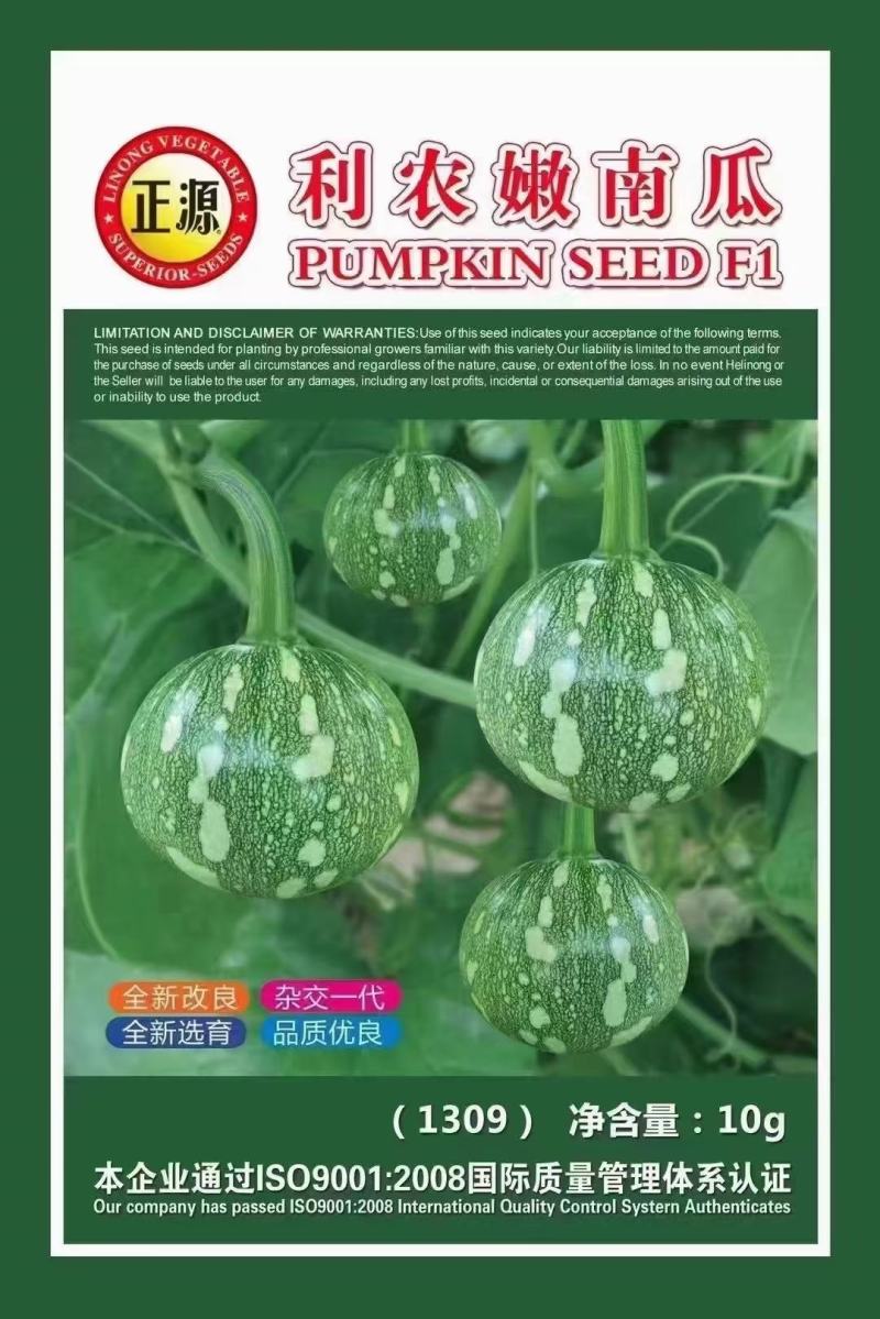 小南瓜种子利农嫩南瓜早熟嫩花白皮嫩气瓜多瓜靓