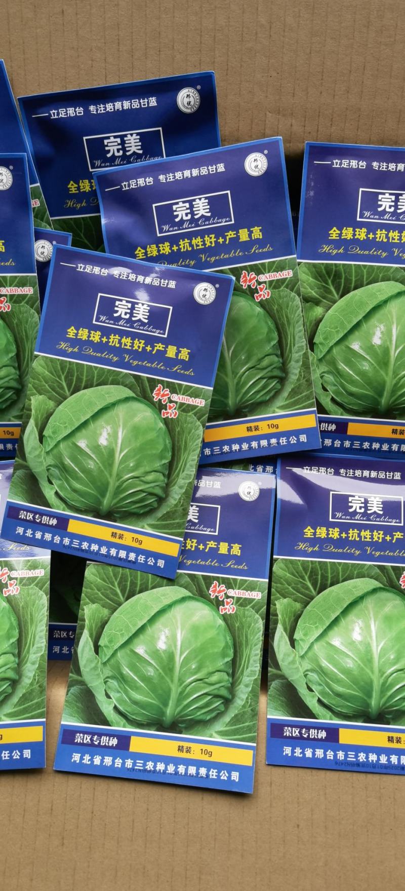 甘蓝种子**口感型圆球甘蓝叶色全绿脆甜抗性好产量高