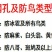 果园防鸟网樱桃树葡萄果园樱桃园鱼塘农田网草莓防护天网果树
