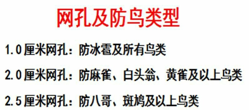 果园防鸟网樱桃树葡萄果园樱桃园鱼塘农田网草莓防护天网果树