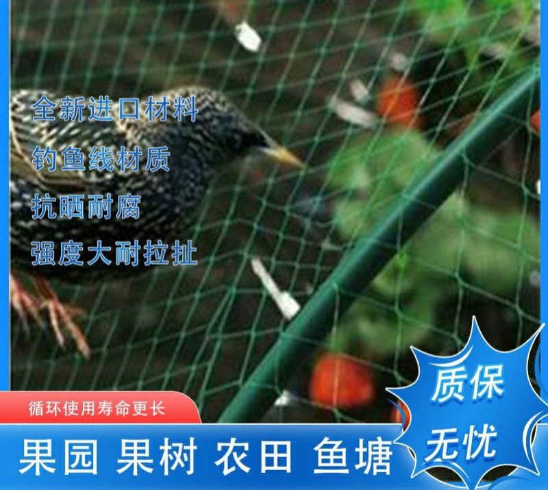 果园防鸟网樱桃树葡萄果园樱桃园鱼塘农田网草莓防护天网果树