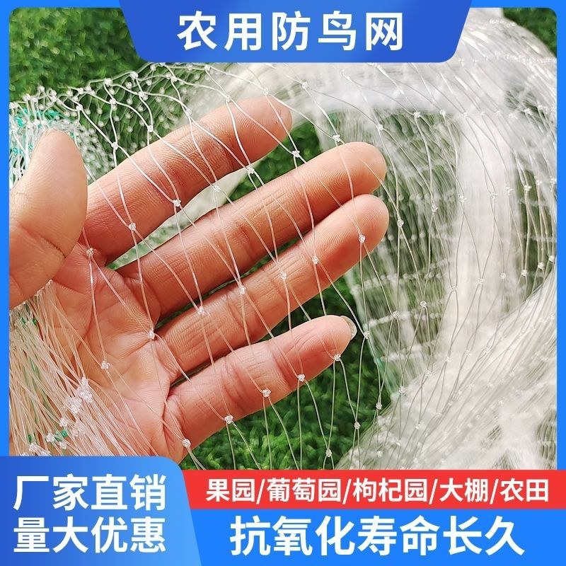 果园防鸟网樱桃树葡萄果园樱桃园鱼塘农田网草莓防护天网果树