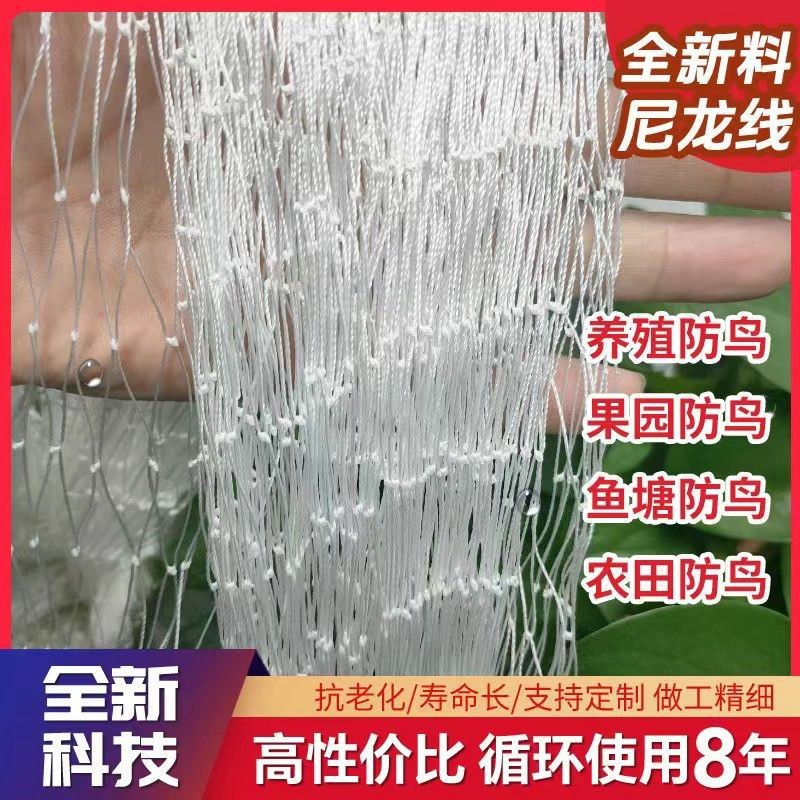 果园防鸟网樱桃树葡萄果园樱桃园鱼塘农田网草莓防护天网果树