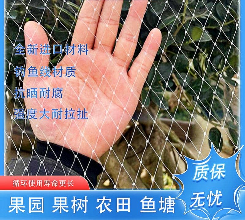果园防鸟网樱桃树葡萄果园樱桃园鱼塘农田网草莓防护天网果树