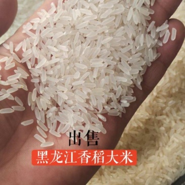 东北寒地大米