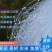 防鸟网尼龙网使用寿命长一斤55-60平方果树鱼塘专用