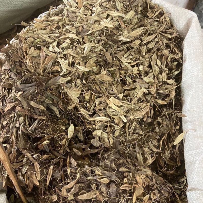 抱石莲中药材抱石莲1000克瓜子菜飞莲草抱树莲金龟藤苞石