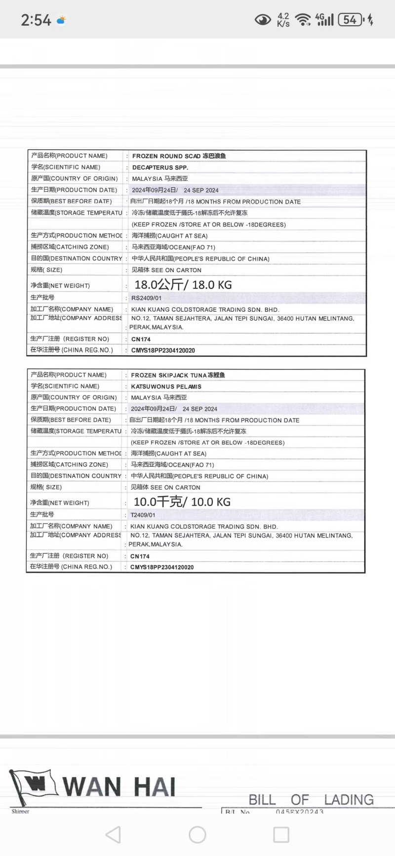 巴浪鱼饵料大眼巴浪一手货源整柜出货厦门港现货直供