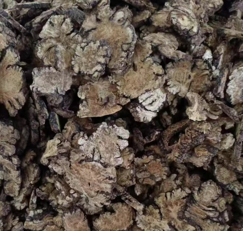 大量川芎片批发