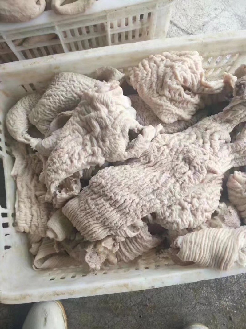 【肠类】全熟牛大肠小肠，半成品大肠小肠，质量干净，价格不
