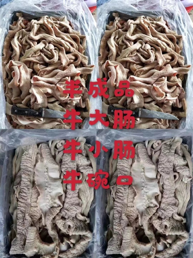 【肠类】全熟牛大肠小肠，半成品大肠小肠，质量干净，价格不
