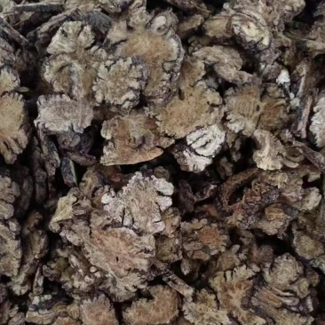 大量川芎片批发