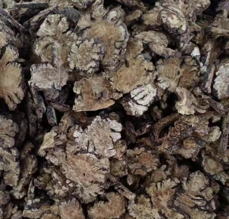 大量川芎片批发