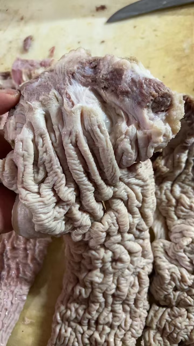 牛小肠源头厂家直销，货源充足，支持看货！