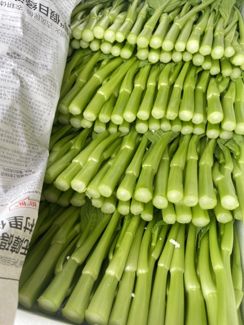广东菜心大量批发，长期有货