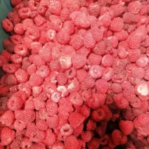 精品树莓冻果大量有货品质保证产地直发可视频看货