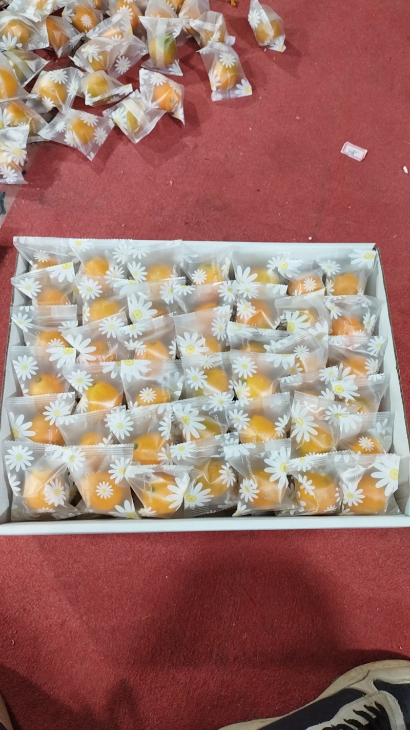 脆皮，脆蜜金桔，纯甜，皮脆，提供场地代收，一条龙服务