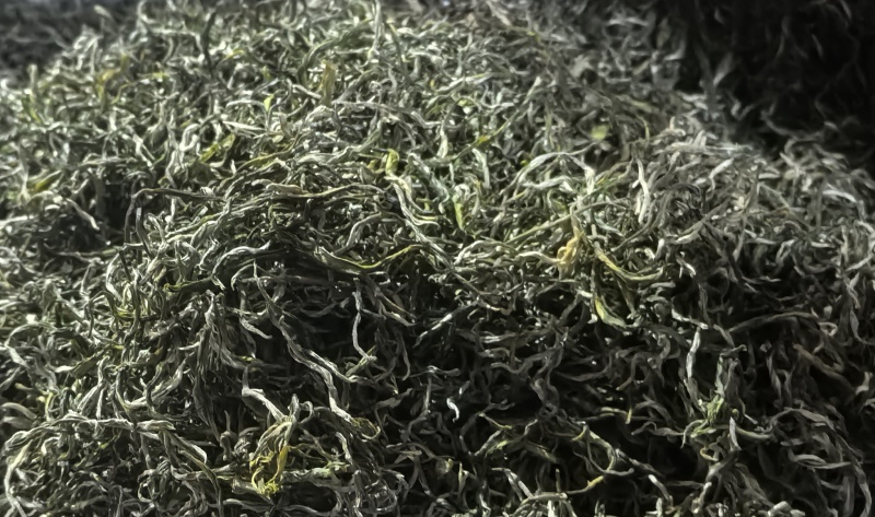 普洱云丝绿茶