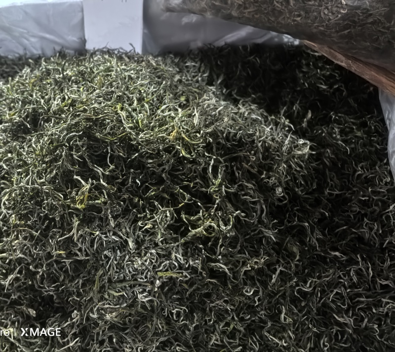 普洱云丝绿茶